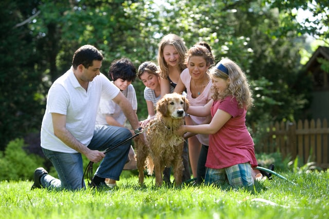 Single Child Allowance